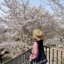 郑州旅游 缩略图 8