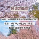 郑州旅游 缩略图 7