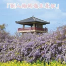 绍兴旅游 缩略图 10