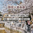 郑州旅游 缩略图 2