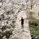 郑州旅游 缩略图 4