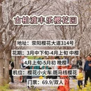 郑州旅游 缩略图 3