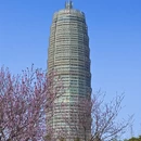 郑州旅游 缩略图 5