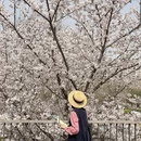 郑州旅游 缩略图 5