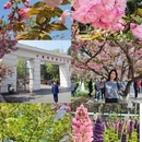 合肥旅游 缩略图 1