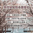 郑州旅游 缩略图 8