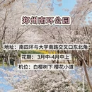 郑州旅游 缩略图 9