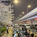 合肥旅游 缩略图 7