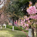 合肥旅游 缩略图 3