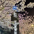 合肥旅游 缩略图 9