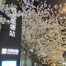 合肥旅游 缩略图 5
