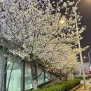 合肥旅游 缩略图 4