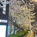 合肥旅游 缩略图 6