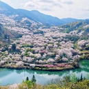 绍兴旅游 缩略图 1