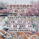 郑州旅游 缩略图 10