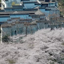 绍兴旅游 缩略图 2
