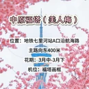 郑州旅游 缩略图 11