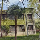 合肥旅游 缩略图 11