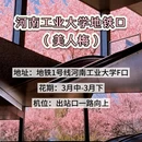 郑州旅游 缩略图 14