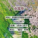 郑州旅游 缩略图 13