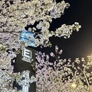 合肥旅游 缩略图 8