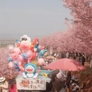 绍兴旅游 缩略图 5