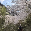 绍兴旅游 缩略图 6