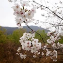 合肥旅游 缩略图 6