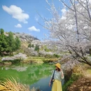 绍兴旅游 缩略图 16