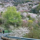 绍兴旅游 缩略图 12