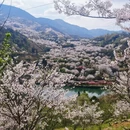 绍兴旅游 缩略图 11