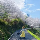 绍兴旅游 缩略图 10