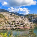 绍兴旅游 缩略图 14