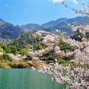 绍兴旅游 缩略图 15