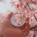 绍兴旅游 缩略图 6