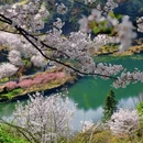 绍兴旅游 缩略图 17
