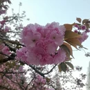 合肥旅游 缩略图 2