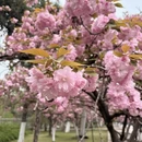 合肥旅游 缩略图 6