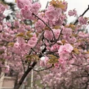 合肥旅游 缩略图 9