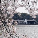 合肥旅游 缩略图 1