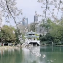 合肥旅游 缩略图 2