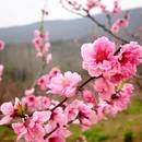 合肥旅游 缩略图 14