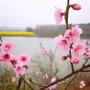 合肥旅游 缩略图 15