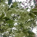 合肥旅游 缩略图 3