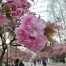 合肥旅游 缩略图 5