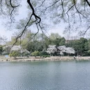 合肥旅游 缩略图 3