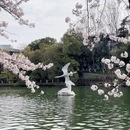 合肥旅游 缩略图 8