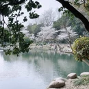 合肥旅游 缩略图 4