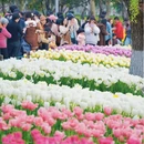 绍兴旅游 缩略图 10
