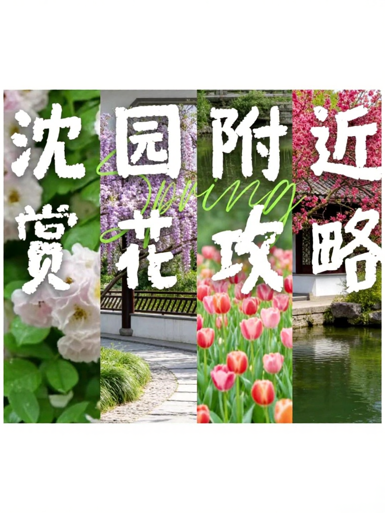 绍兴旅游